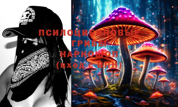 крисы Богданович