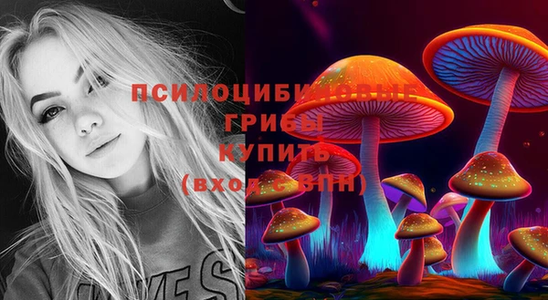 COCAINE Богородицк