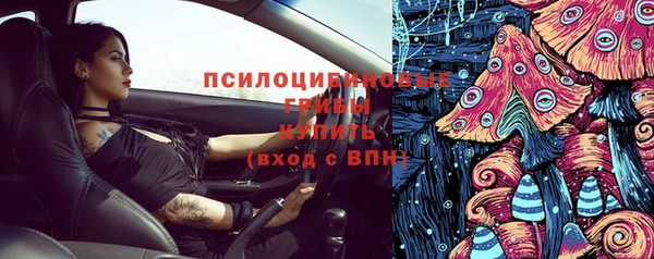 крисы Богданович