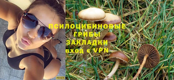 крисы Богданович