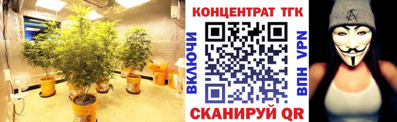 ТГК вейп с тгк  Владимир 