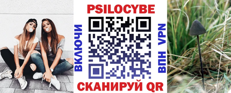 кракен рабочий сайт даркнет какой сайт Владимир Галлюциногенные грибы Psilocybine cubensis где продают наркотики